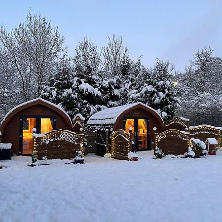 Conifer Cabins Форт-Уильям Экстерьер фото
