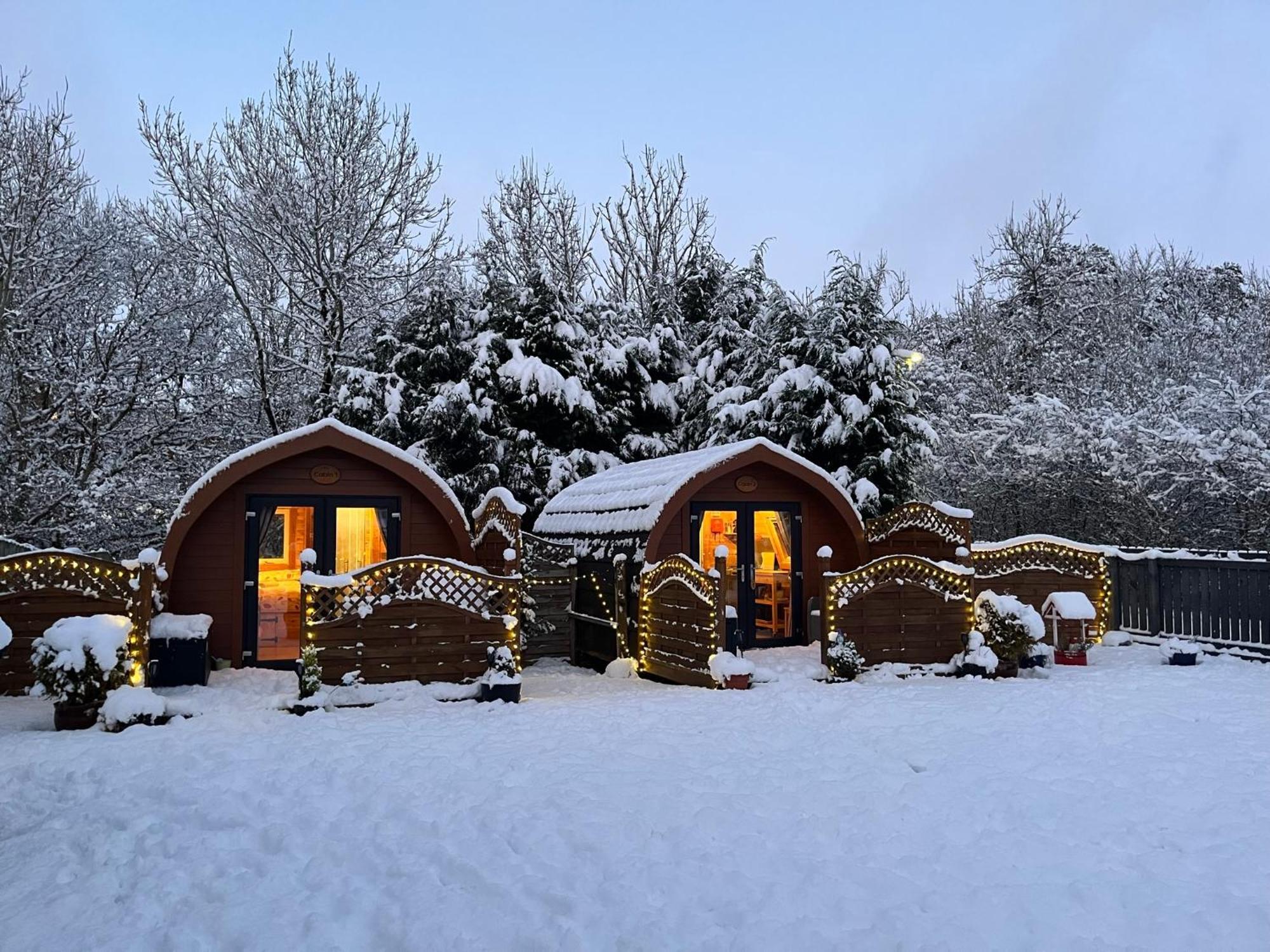 Conifer Cabins Форт-Уильям Экстерьер фото