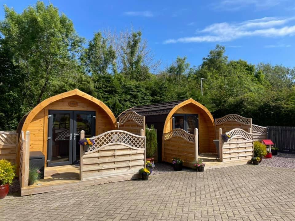 Conifer Cabins Форт-Уильям Экстерьер фото